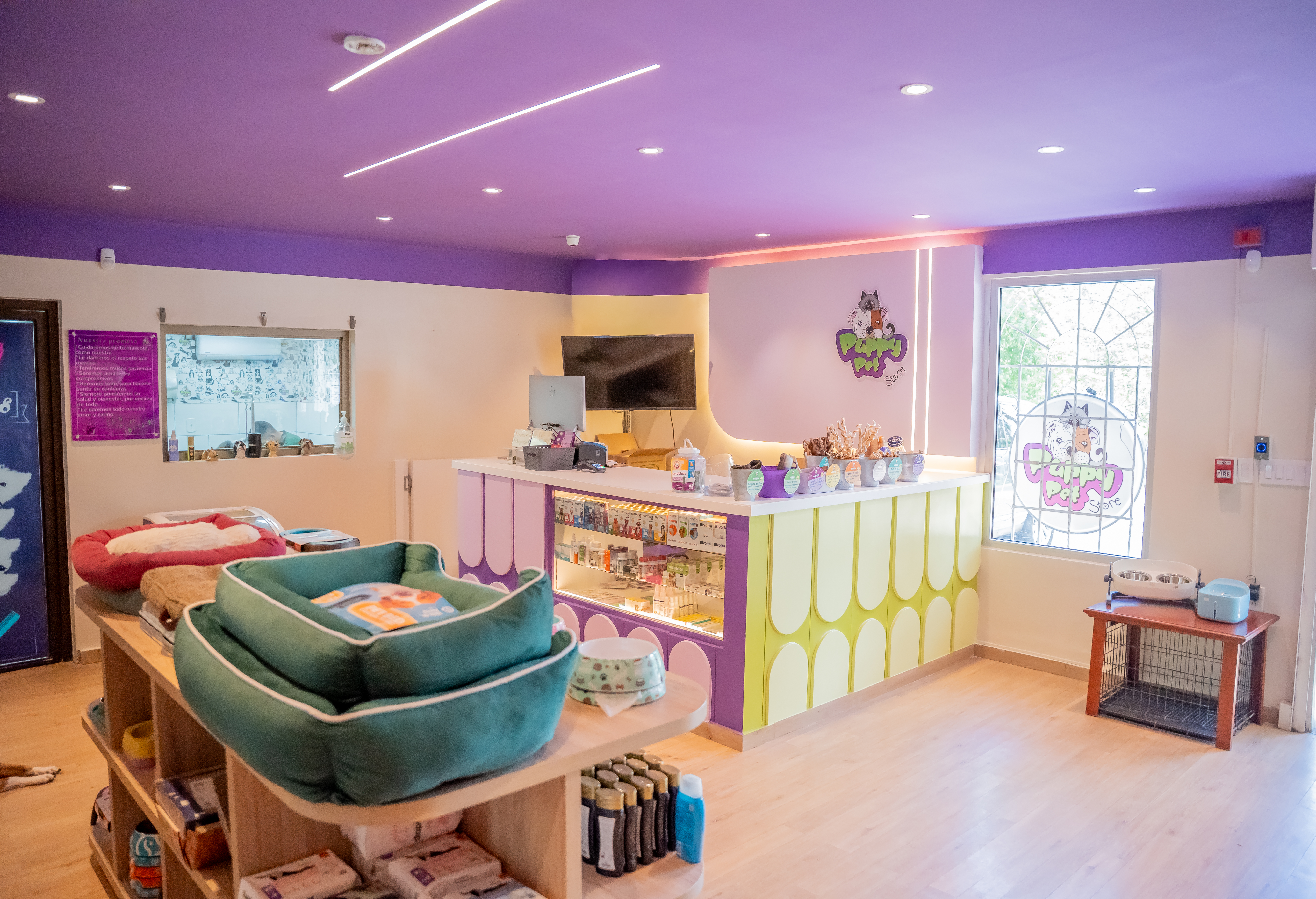 Counter area and shelving with pet beds — Puppys Pet Store