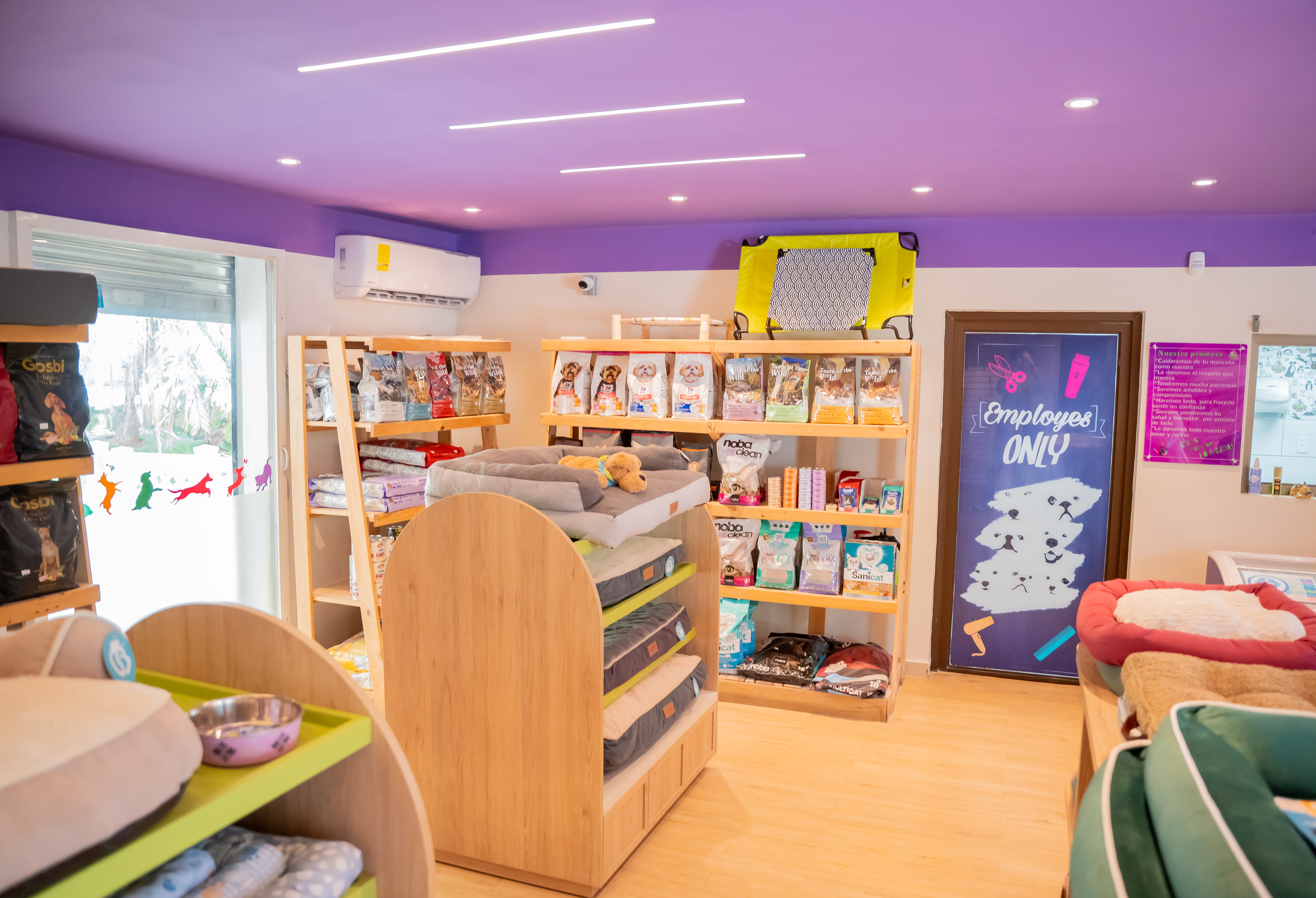Product aisle with wall-mounted agility equipment — Puppys Pet Store